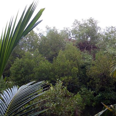 Mermaid Cabana And Tree Houses Tangalle Exterior foto