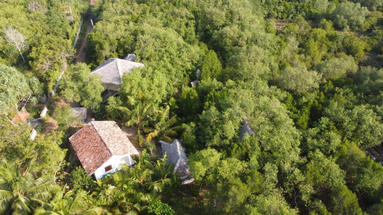 Mermaid Cabana And Tree Houses Tangalle Exterior foto