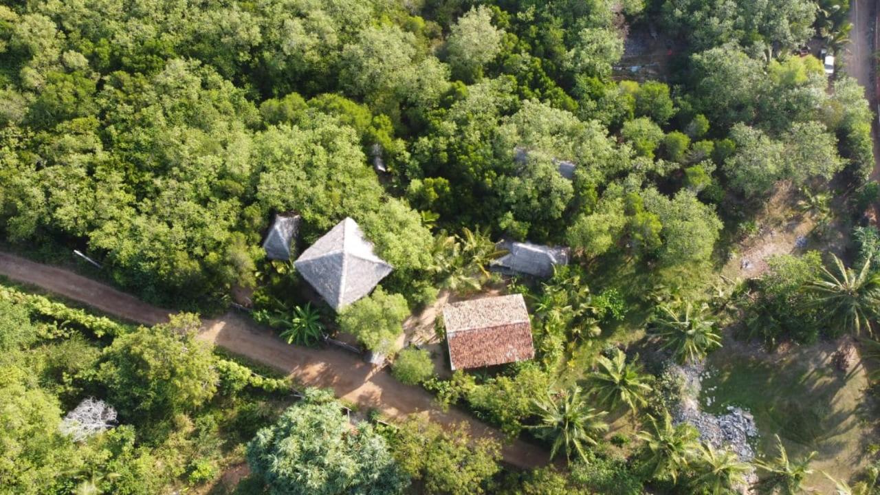 Mermaid Cabana And Tree Houses Tangalle Quarto foto