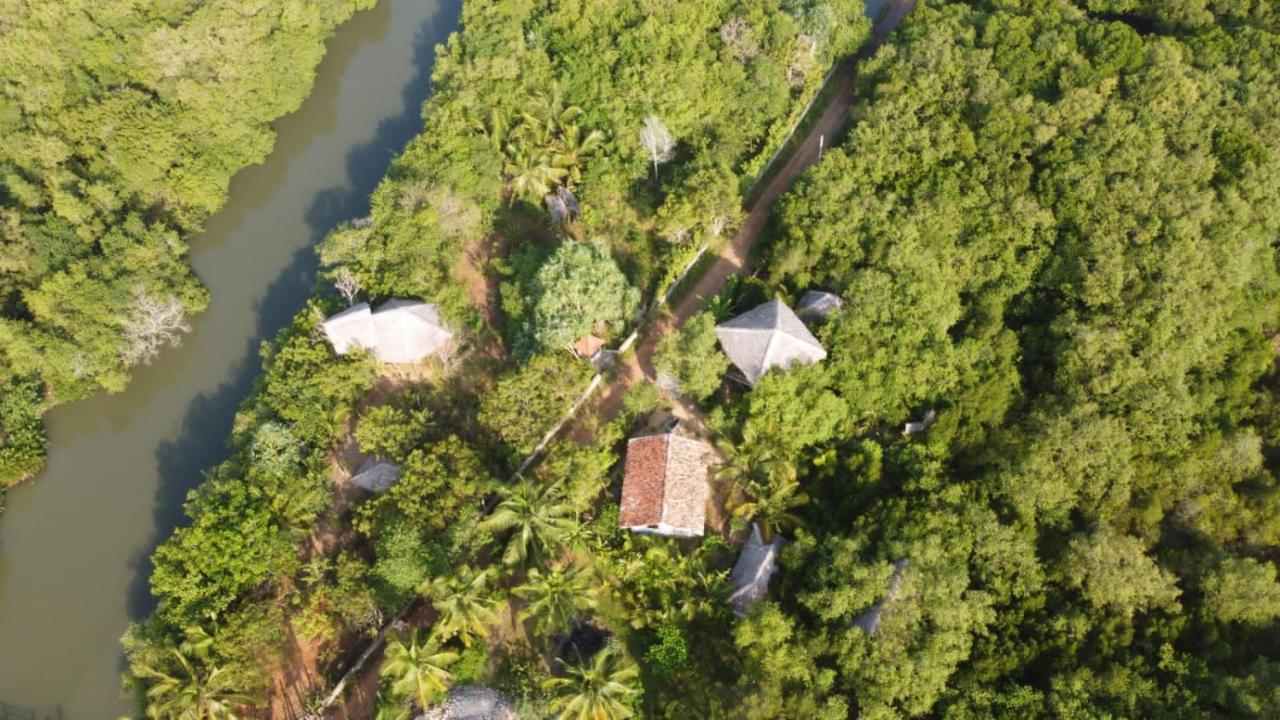 Mermaid Cabana And Tree Houses Tangalle Quarto foto