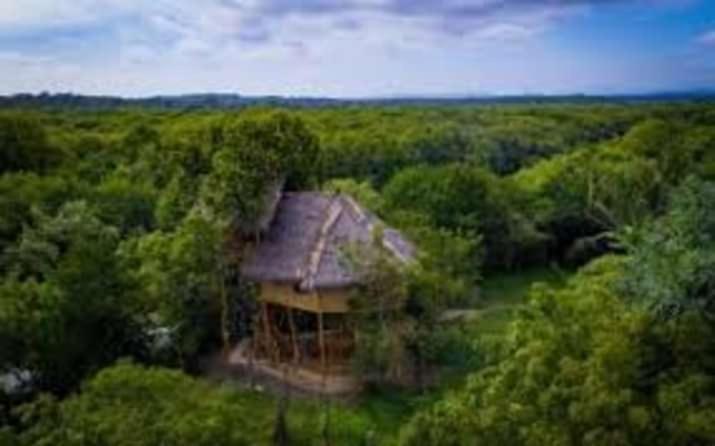 Mermaid Cabana And Tree Houses Tangalle Exterior foto