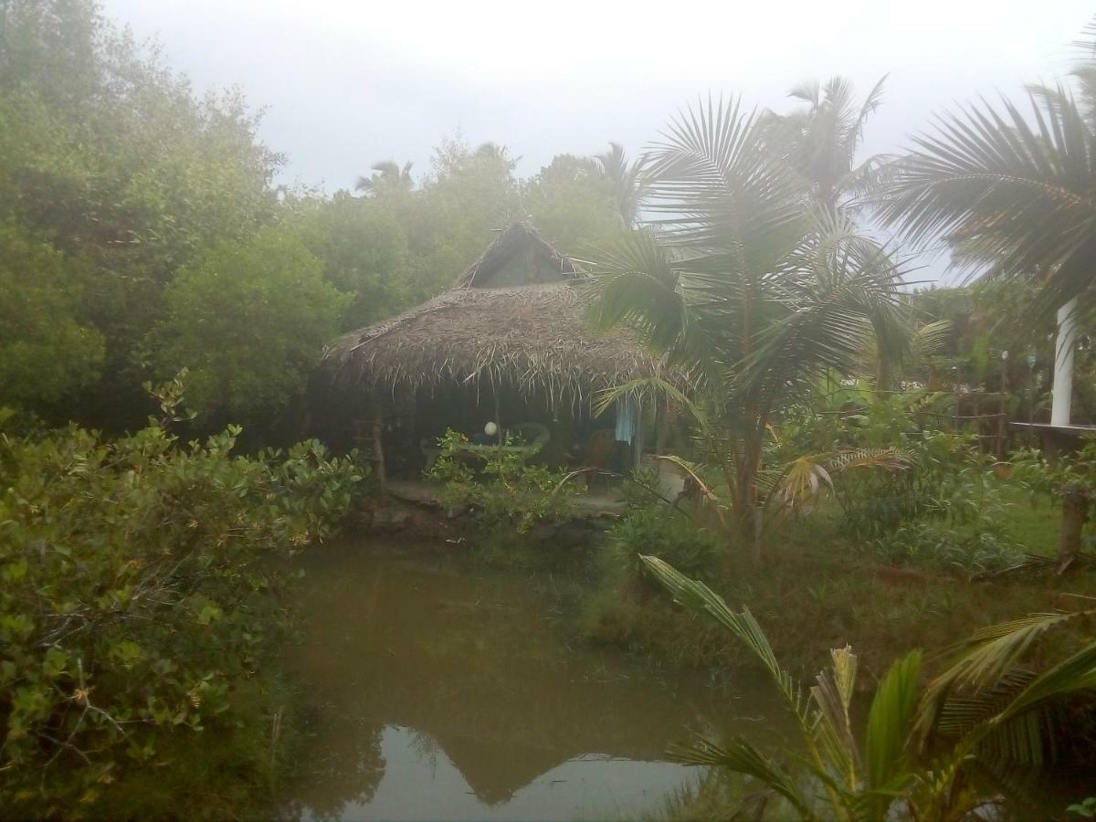 Mermaid Cabana And Tree Houses Tangalle Exterior foto