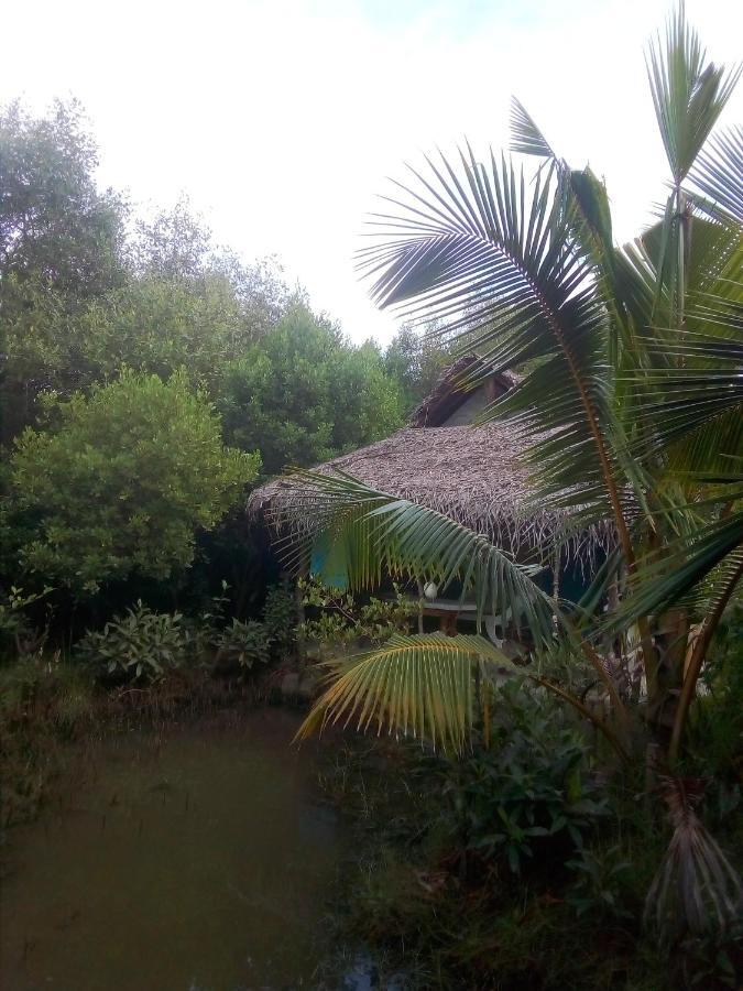 Mermaid Cabana And Tree Houses Tangalle Exterior foto