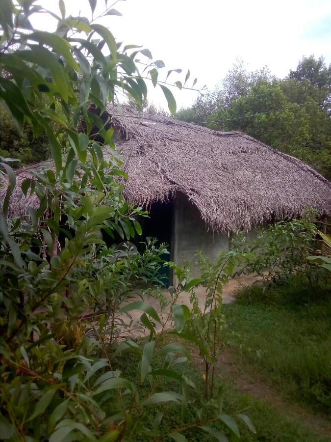 Mermaid Cabana And Tree Houses Tangalle Exterior foto