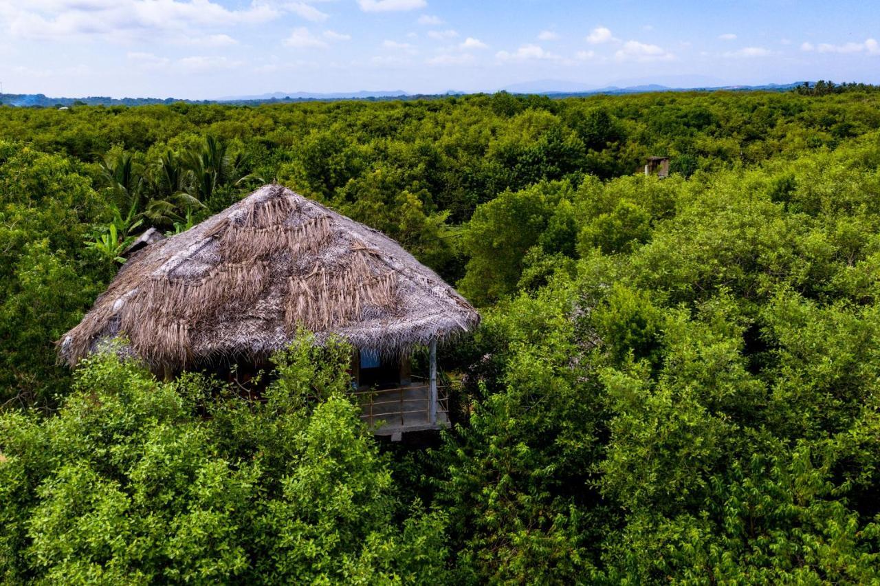 Mermaid Cabana And Tree Houses Tangalle Exterior foto