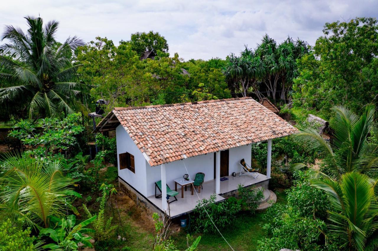 Mermaid Cabana And Tree Houses Tangalle Exterior foto