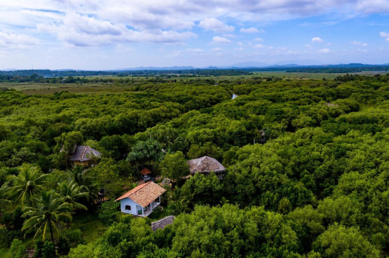 Mermaid Cabana And Tree Houses Tangalle Exterior foto