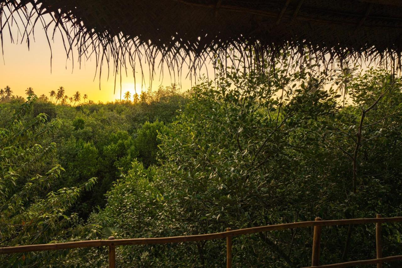 Mermaid Cabana And Tree Houses Tangalle Exterior foto